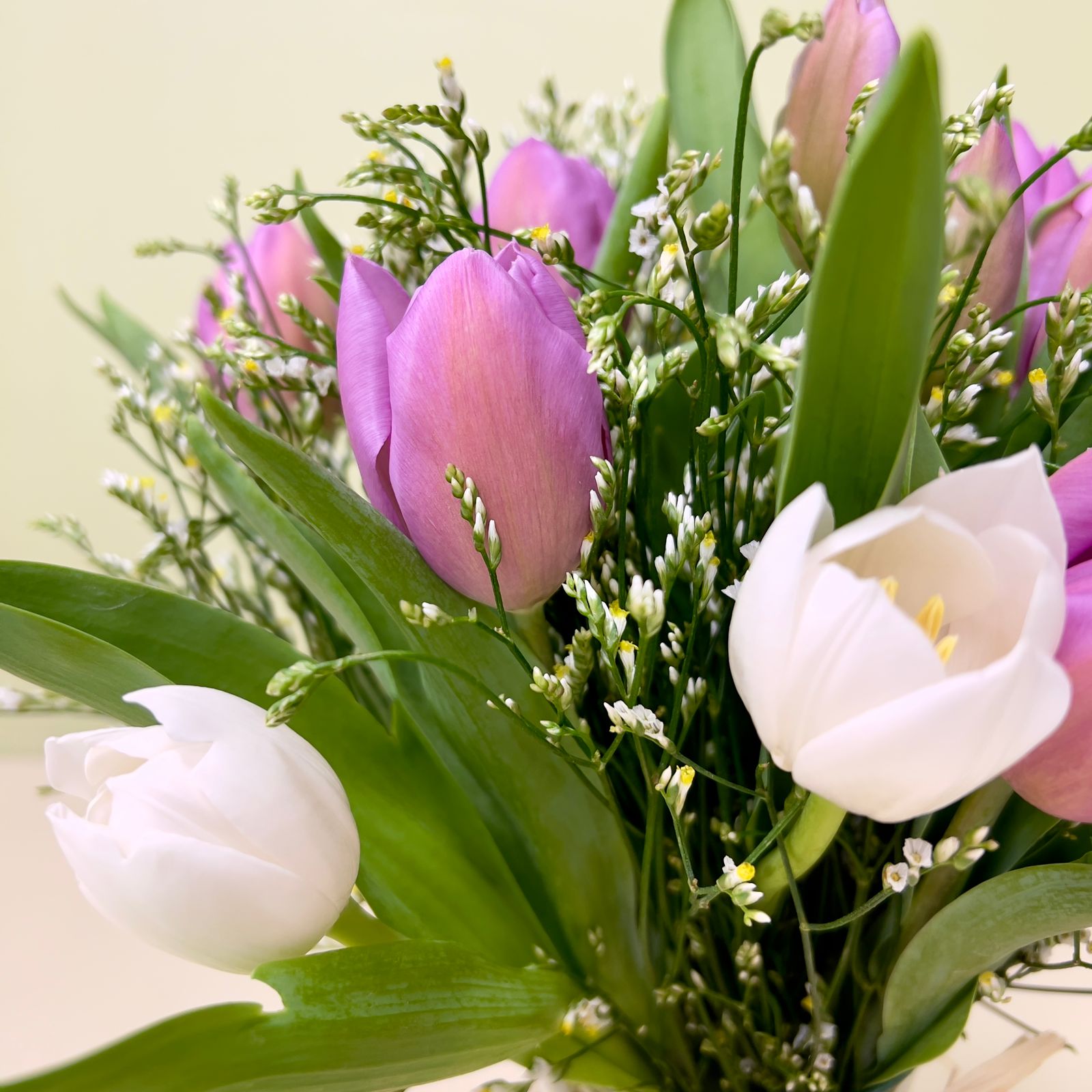 15 Tulipanes Pastel en Florero