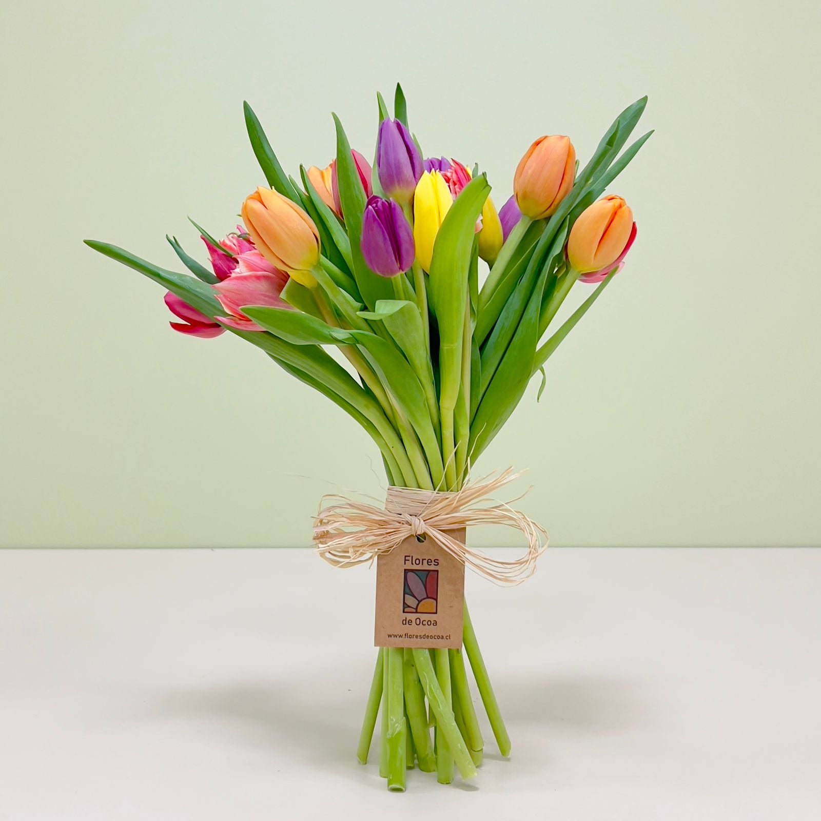 Ramo Colorido de 20 Tulipanes