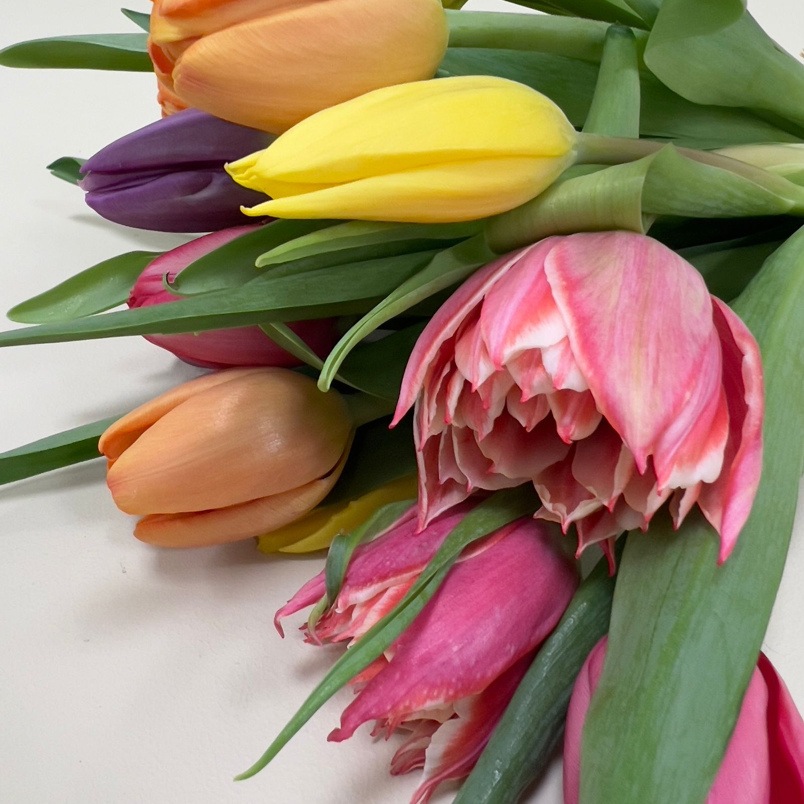 Ramo Colorido de 20 Tulipanes