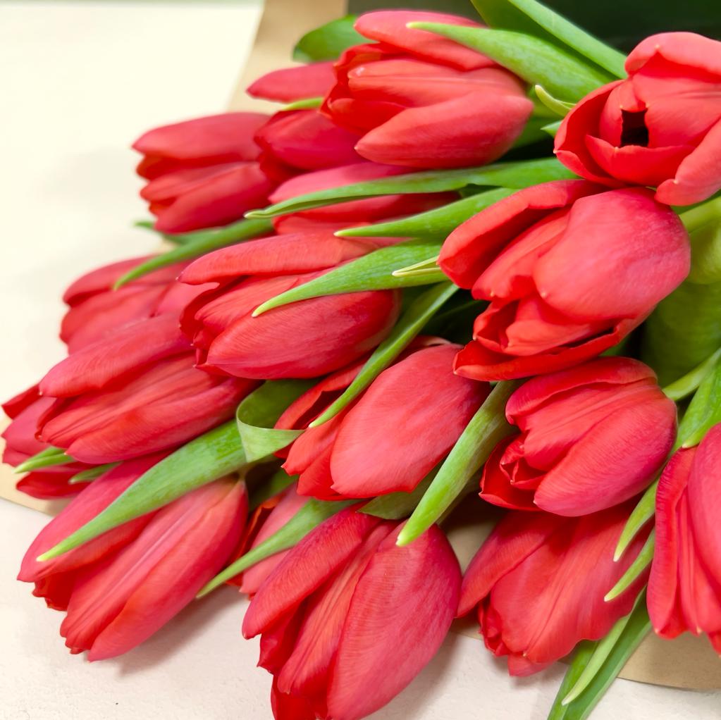 Ramo de 20 Tulipanes Rojos