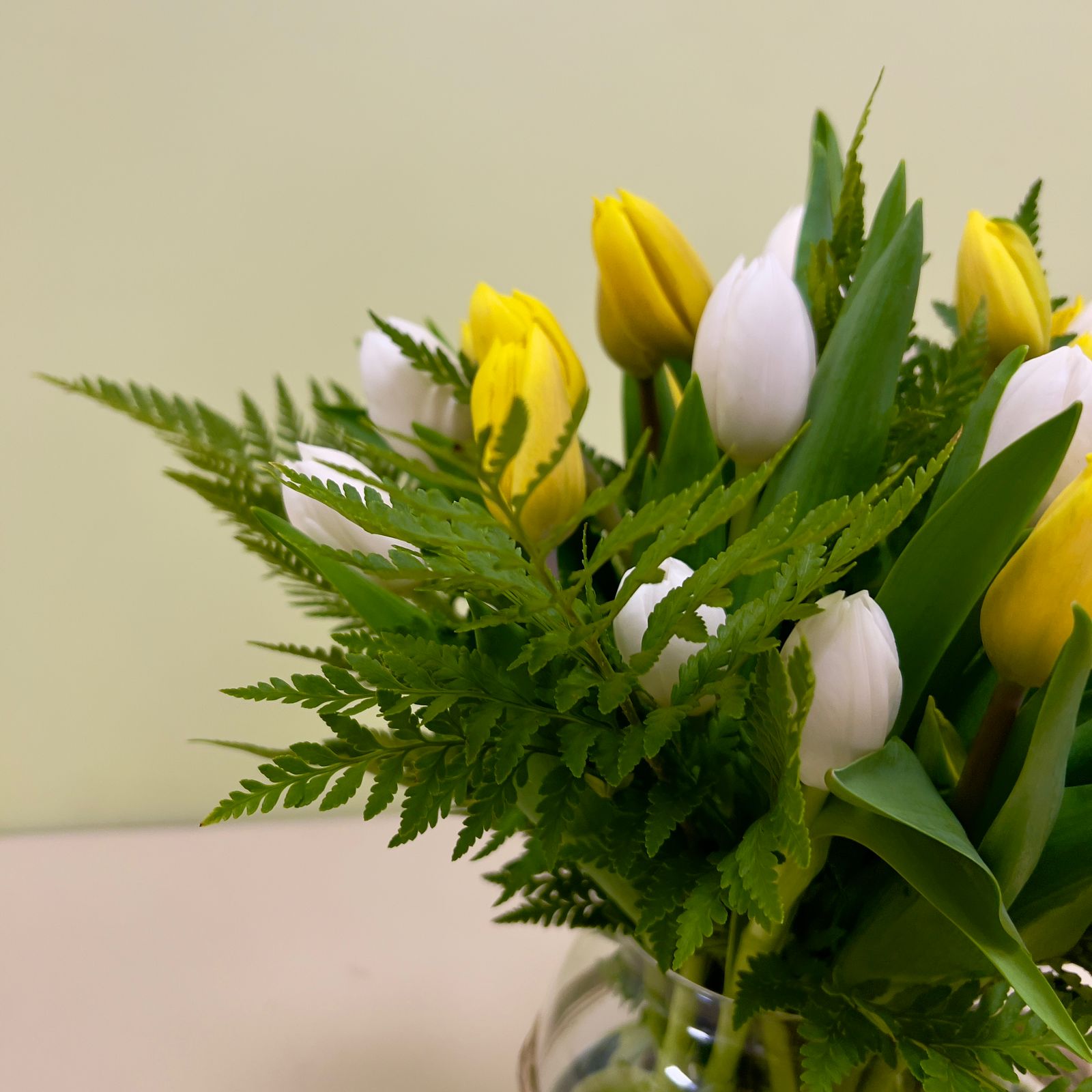 30 Tulipanes Blancos y Amarillos en Florero