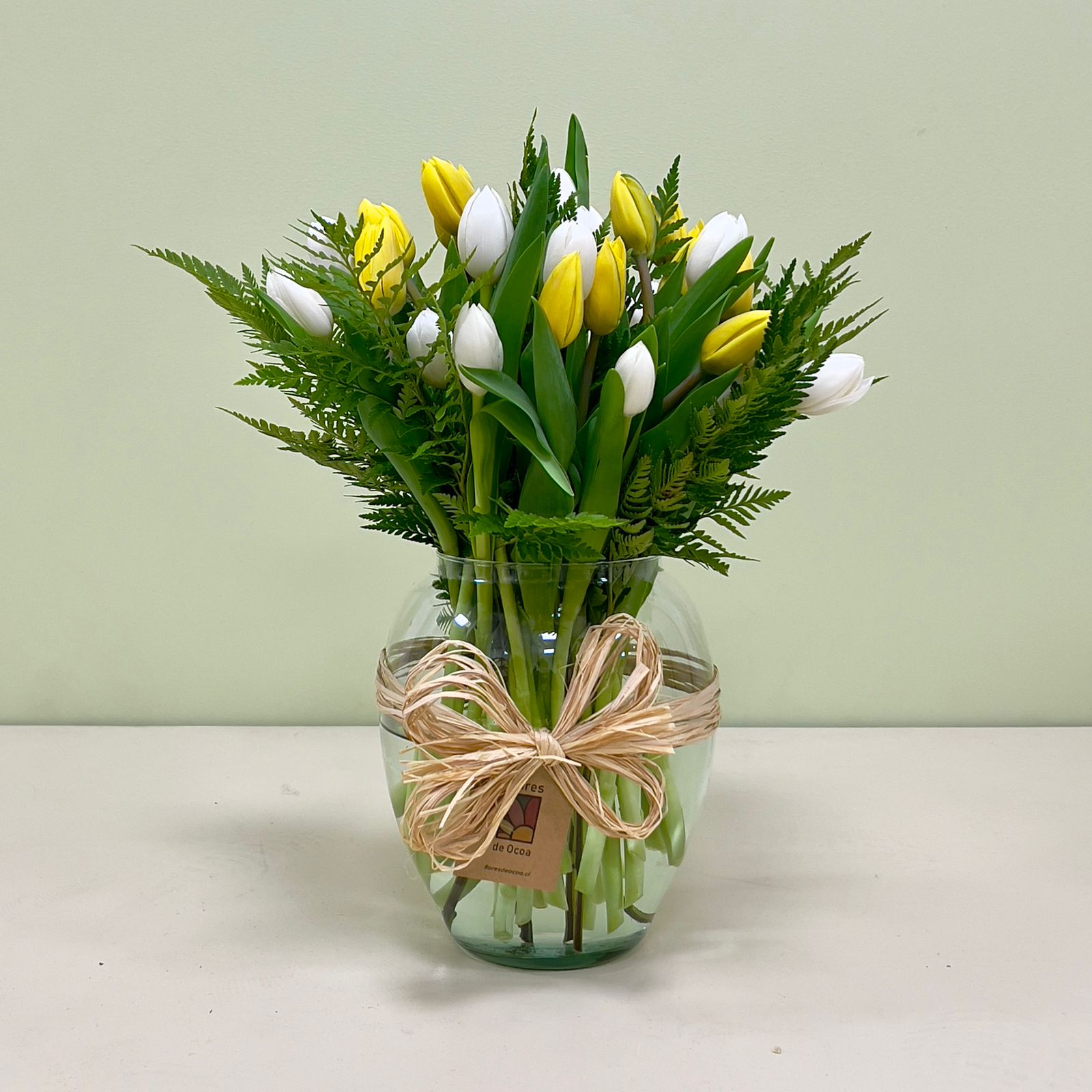 30 Tulipanes Blancos y Amarillos en Florero