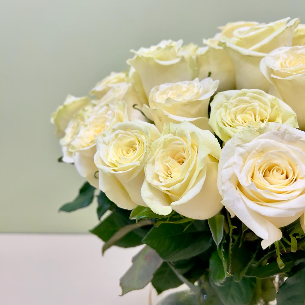 Arreglo XL 50 Rosas Blancas en Florero