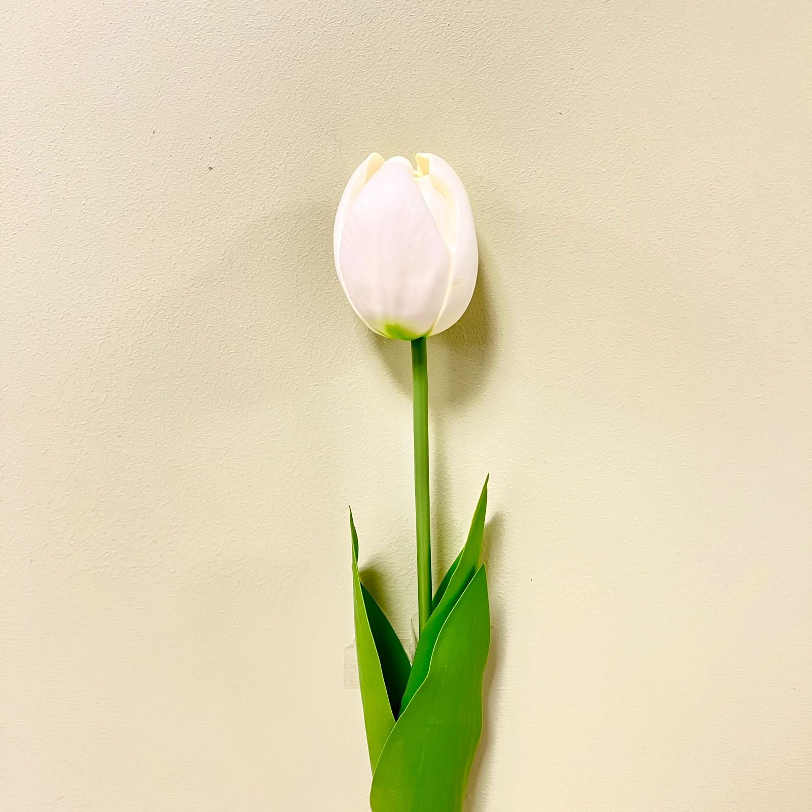 Tulipan Blanco Artificial 1 Vara