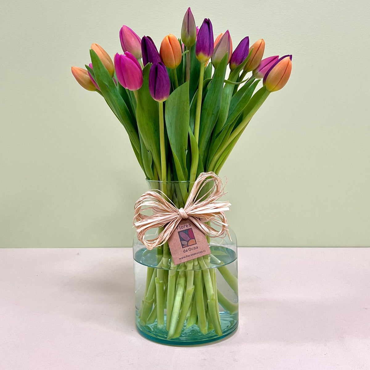 30 Tulipanes en Lechero