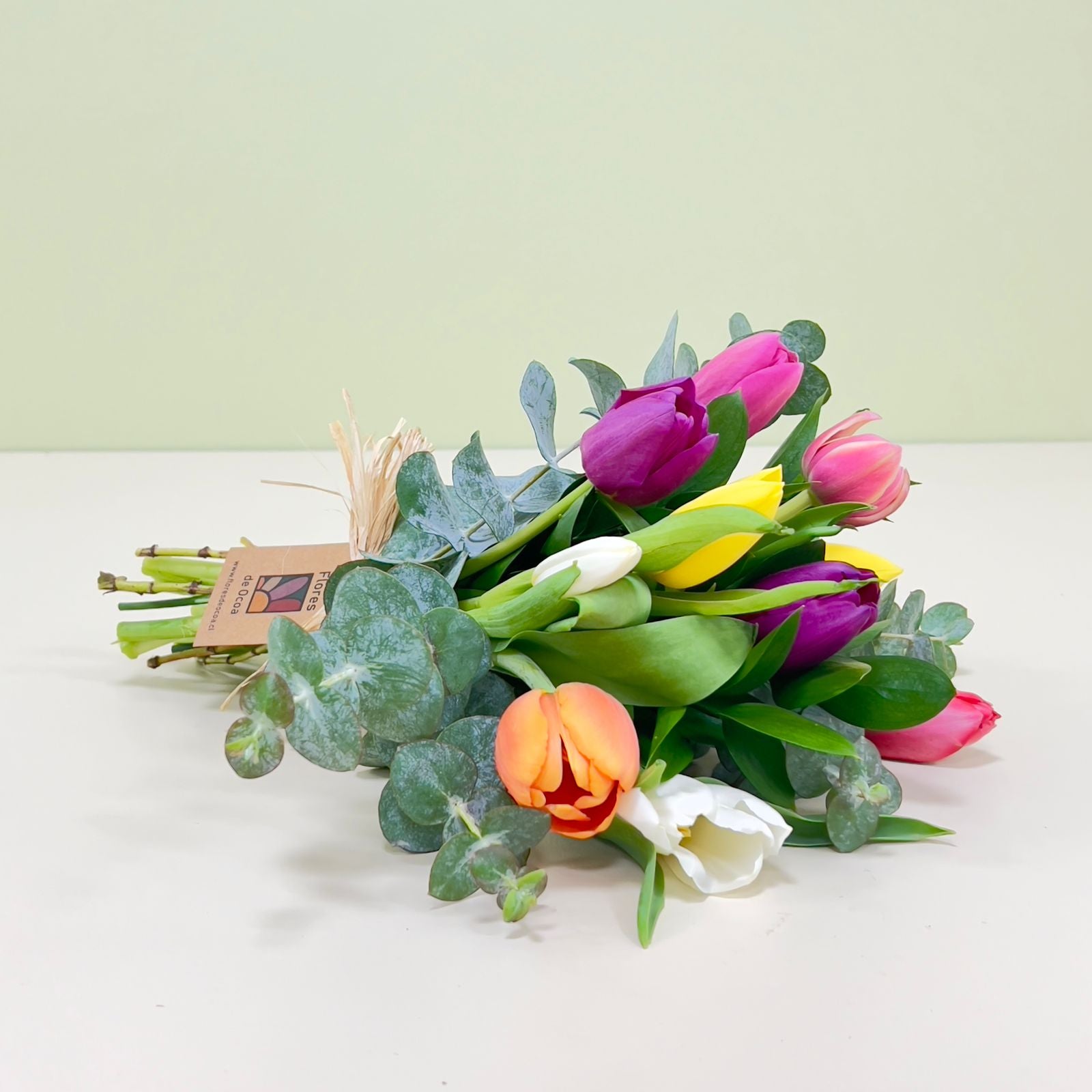 Ramo de 10 Tulipanes