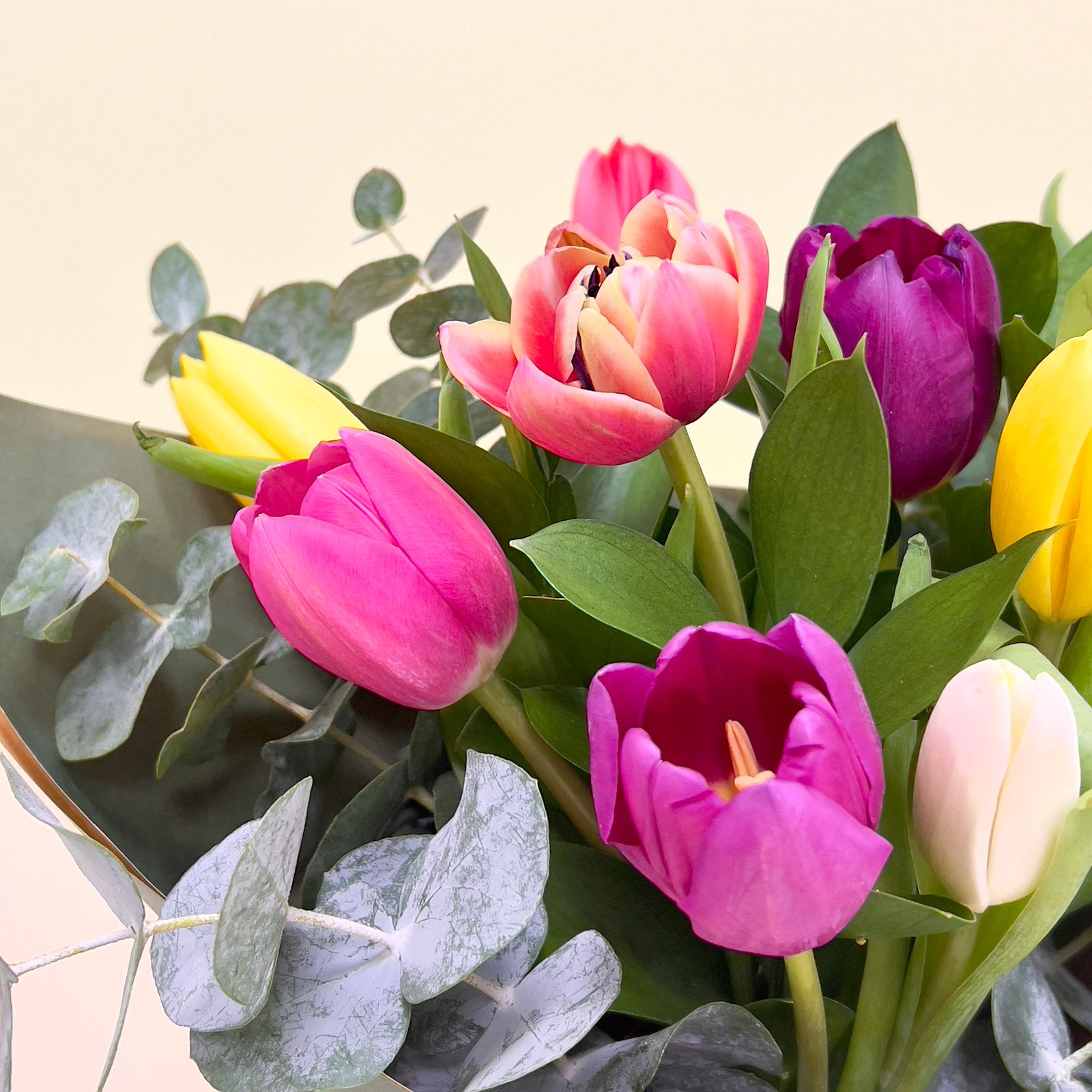 Ramo de 10 Tulipanes