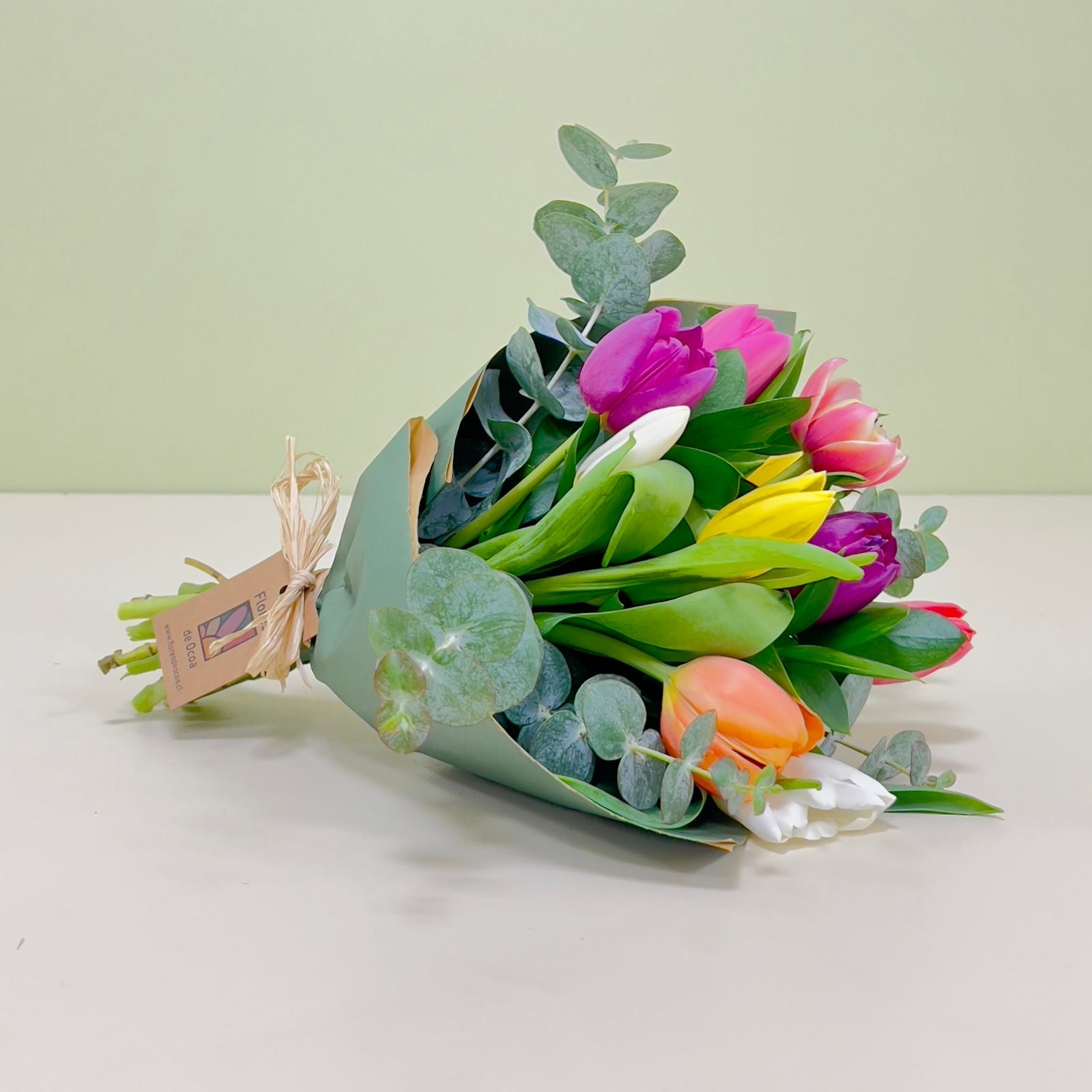 Ramo de 10 Tulipanes