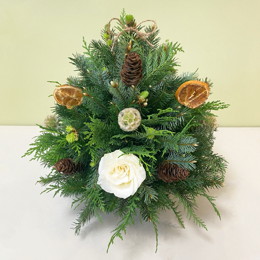 Pino Pequeño | Navidad