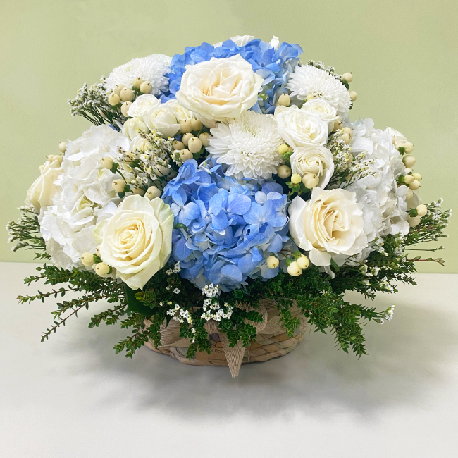 Canasto Hortensias Celestes XL | 70 Varas