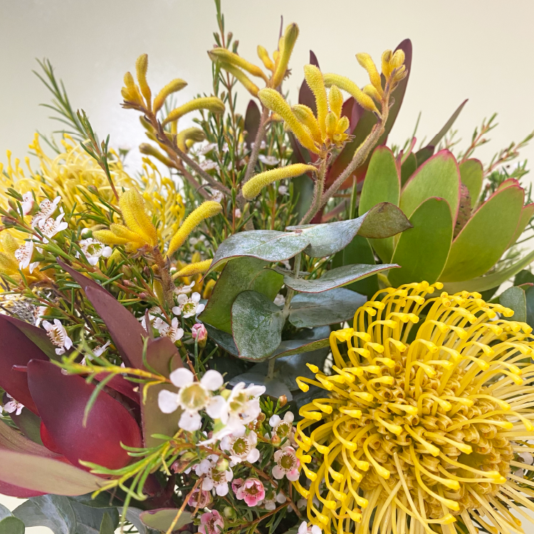 Florero Mix Leucadendron