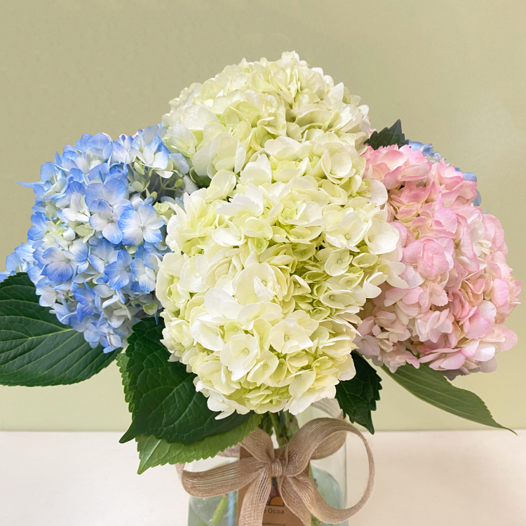Florero de Hortensias Pastel