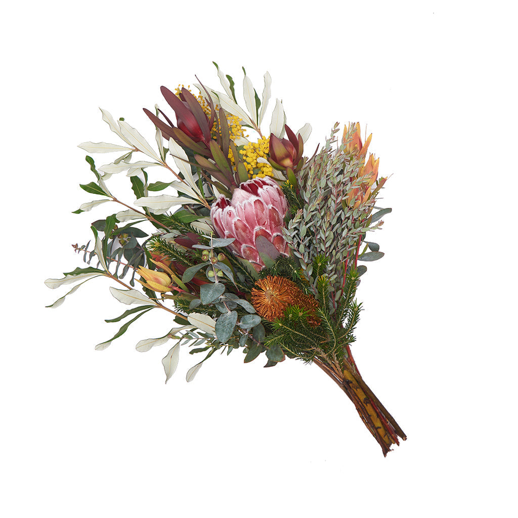 Mix Leucadendron