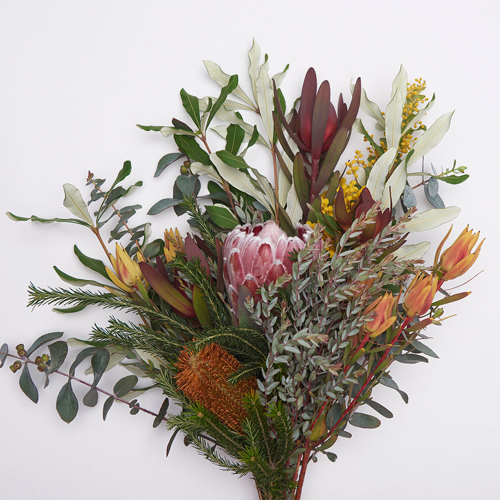 Mix Leucadendron