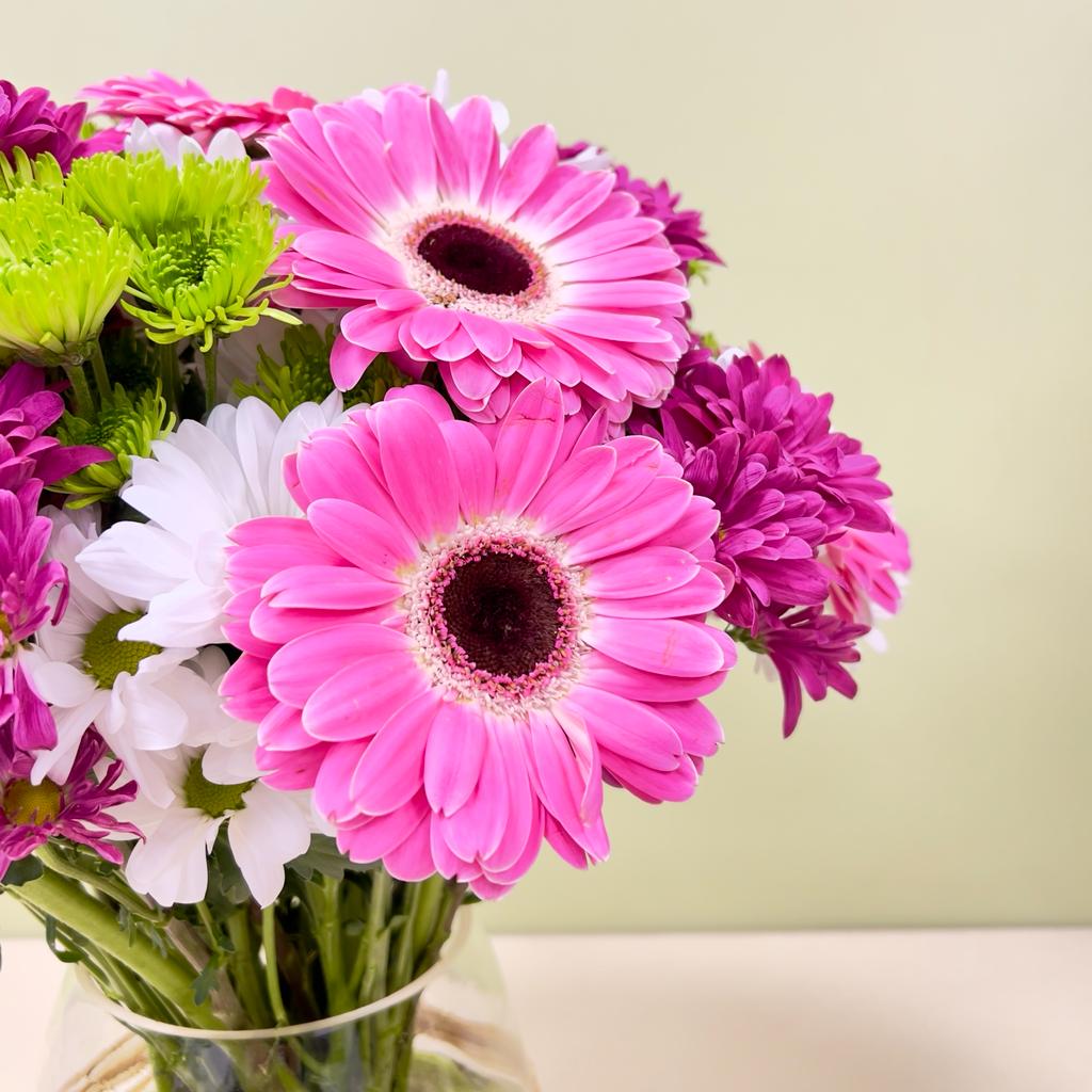 Arreglo Gerberas y Pompones en Florero.