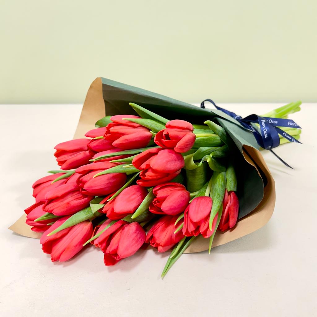 Ramo de 20 Tulipanes Rojos