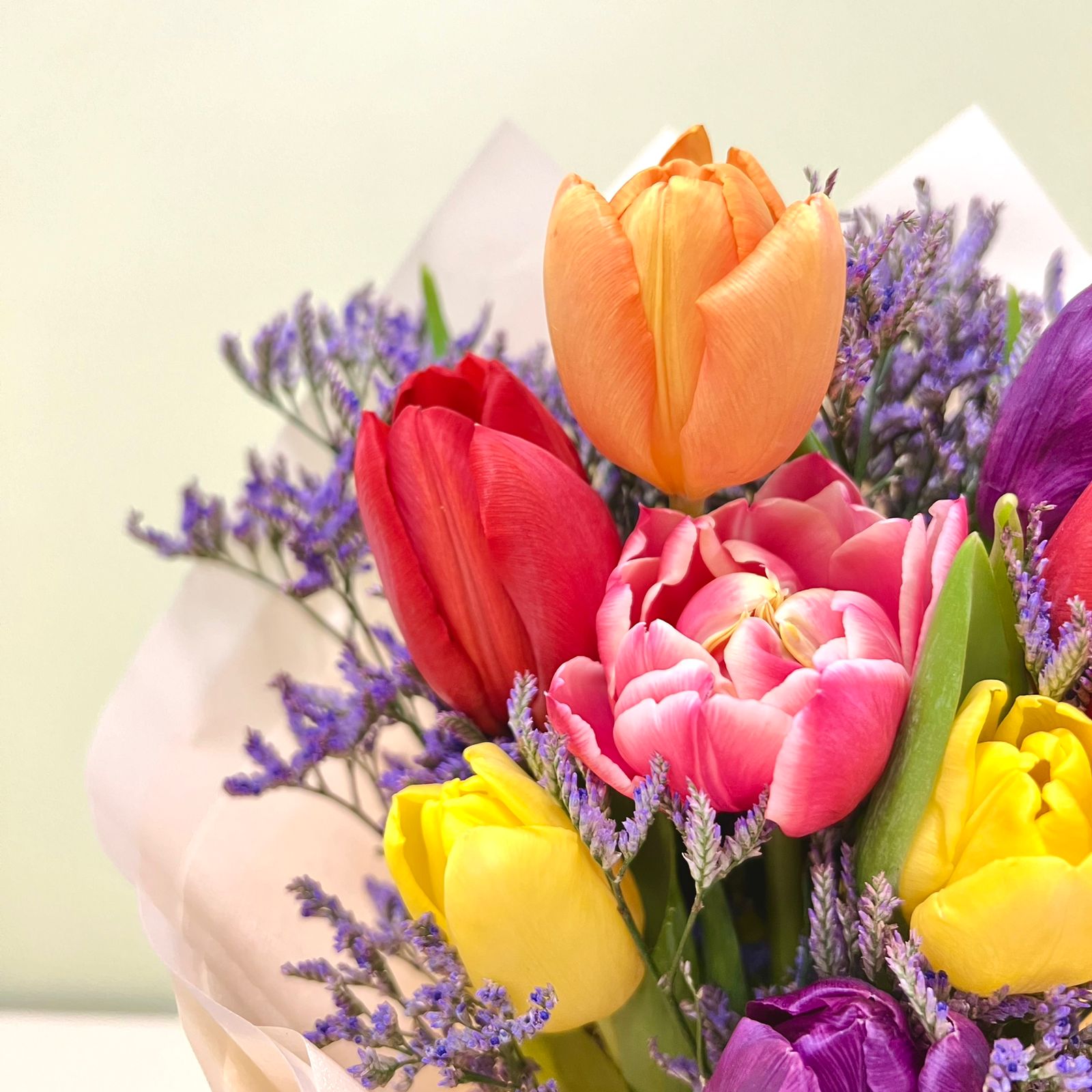 10 Tulipanes & Limonium | M2
