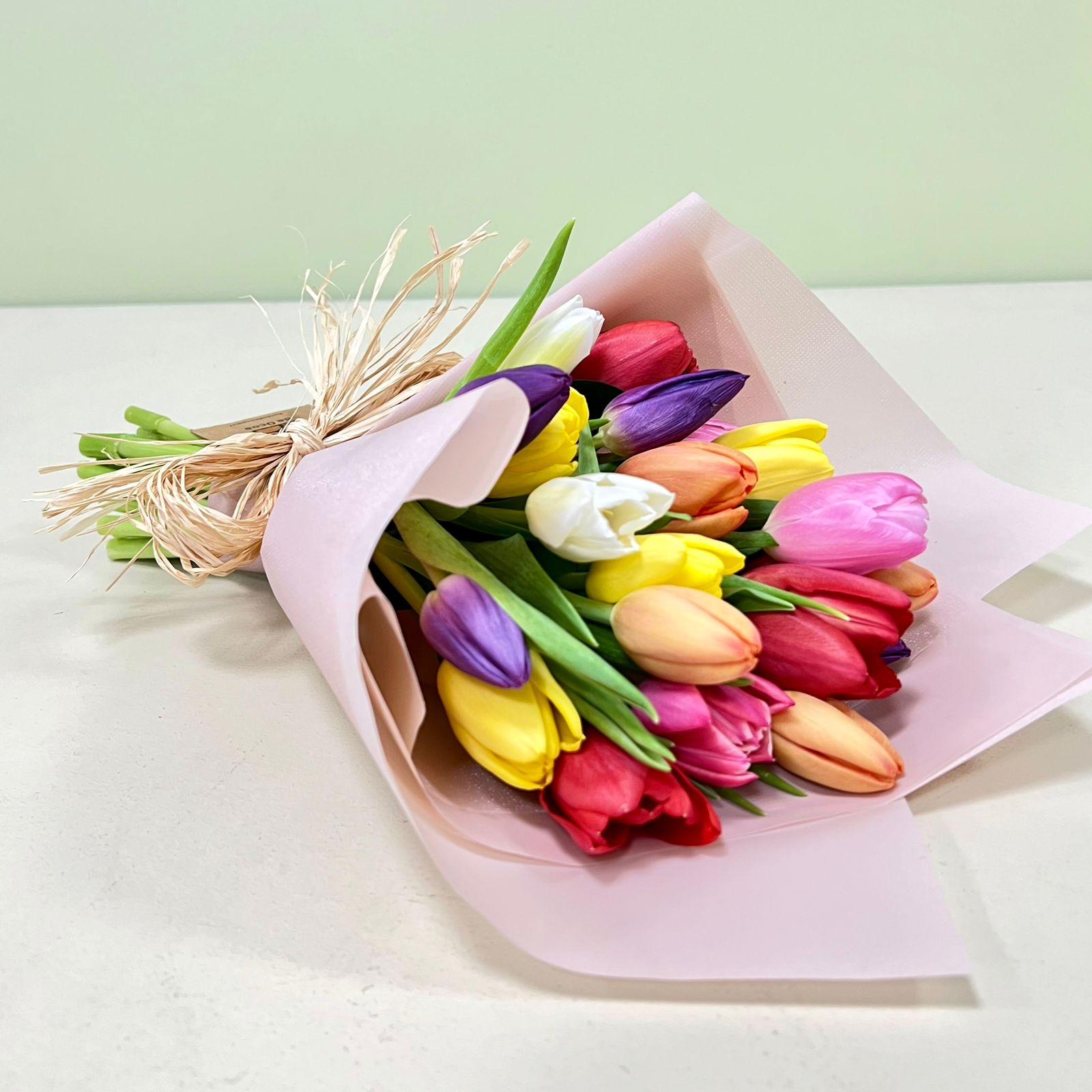 20 Tulipanes Coloridos | M3