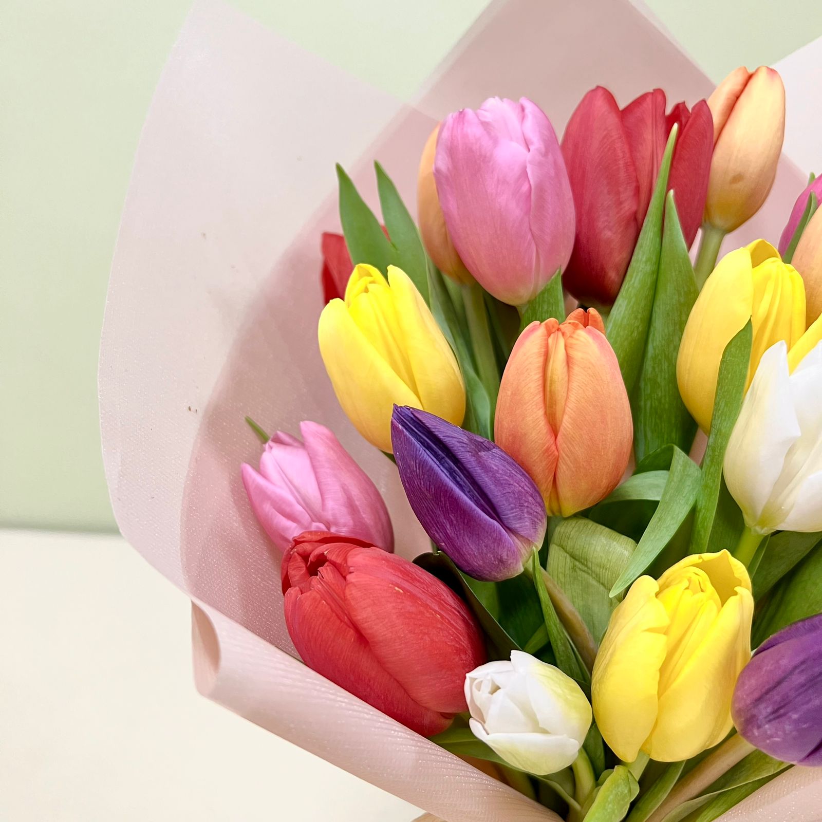 20 Tulipanes Coloridos | M3