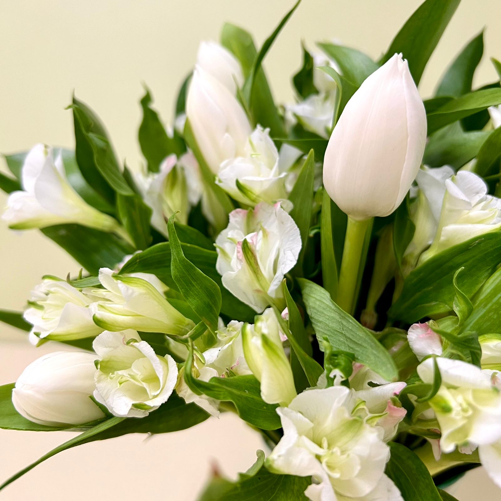 Florero Charmelia & Tulipán Blanco | Flores de ocoa
