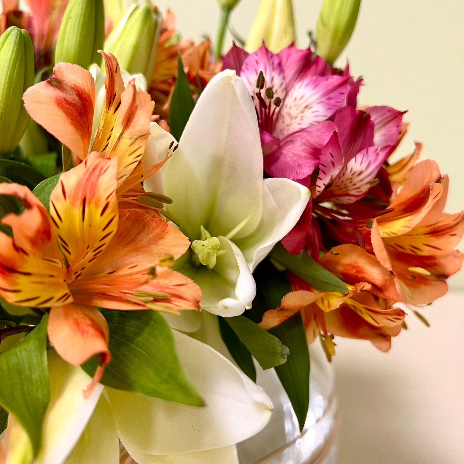 Alstroemerias fucsias & Lilium en Florero