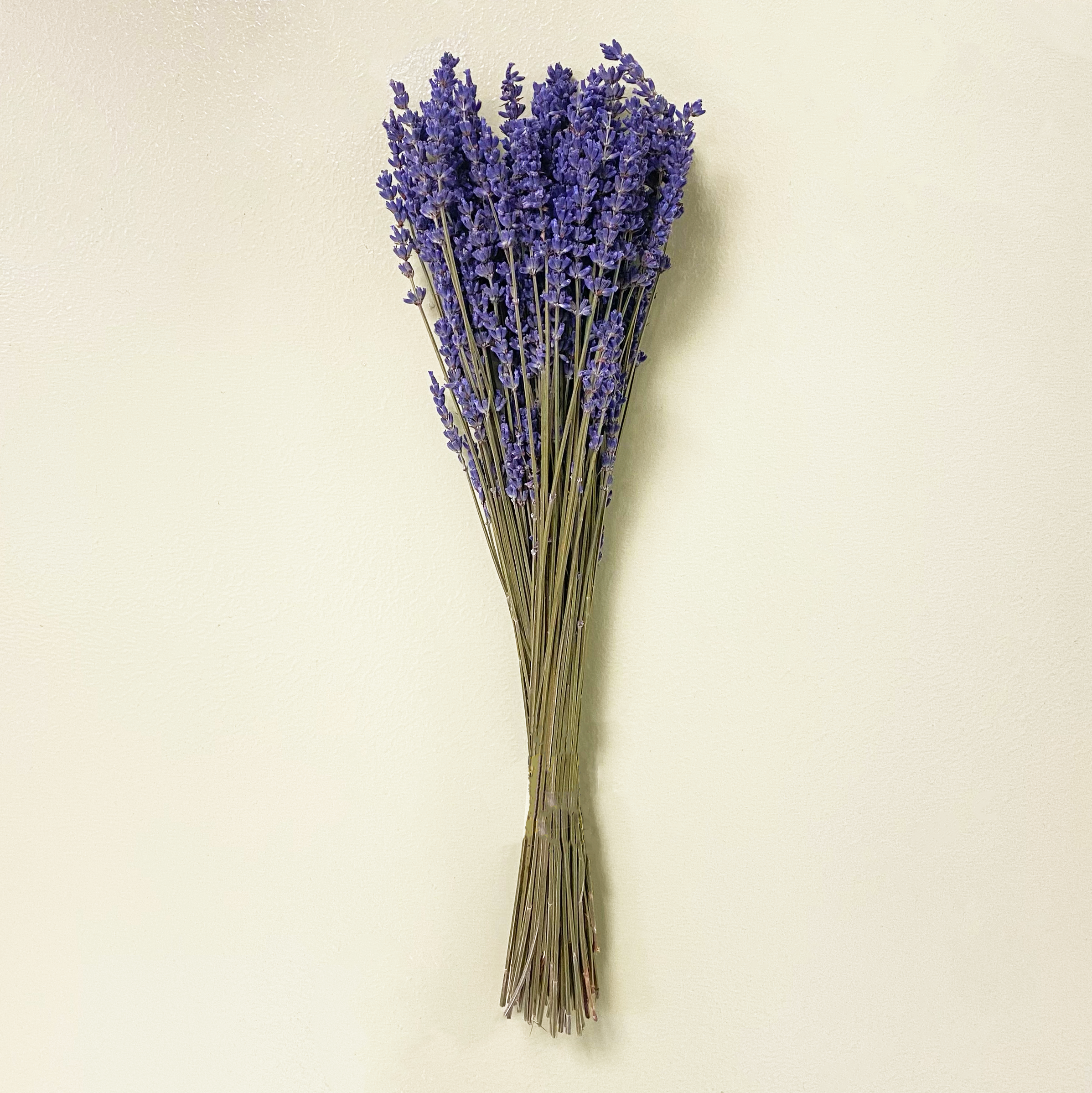 Ramo pequeño  lavanda