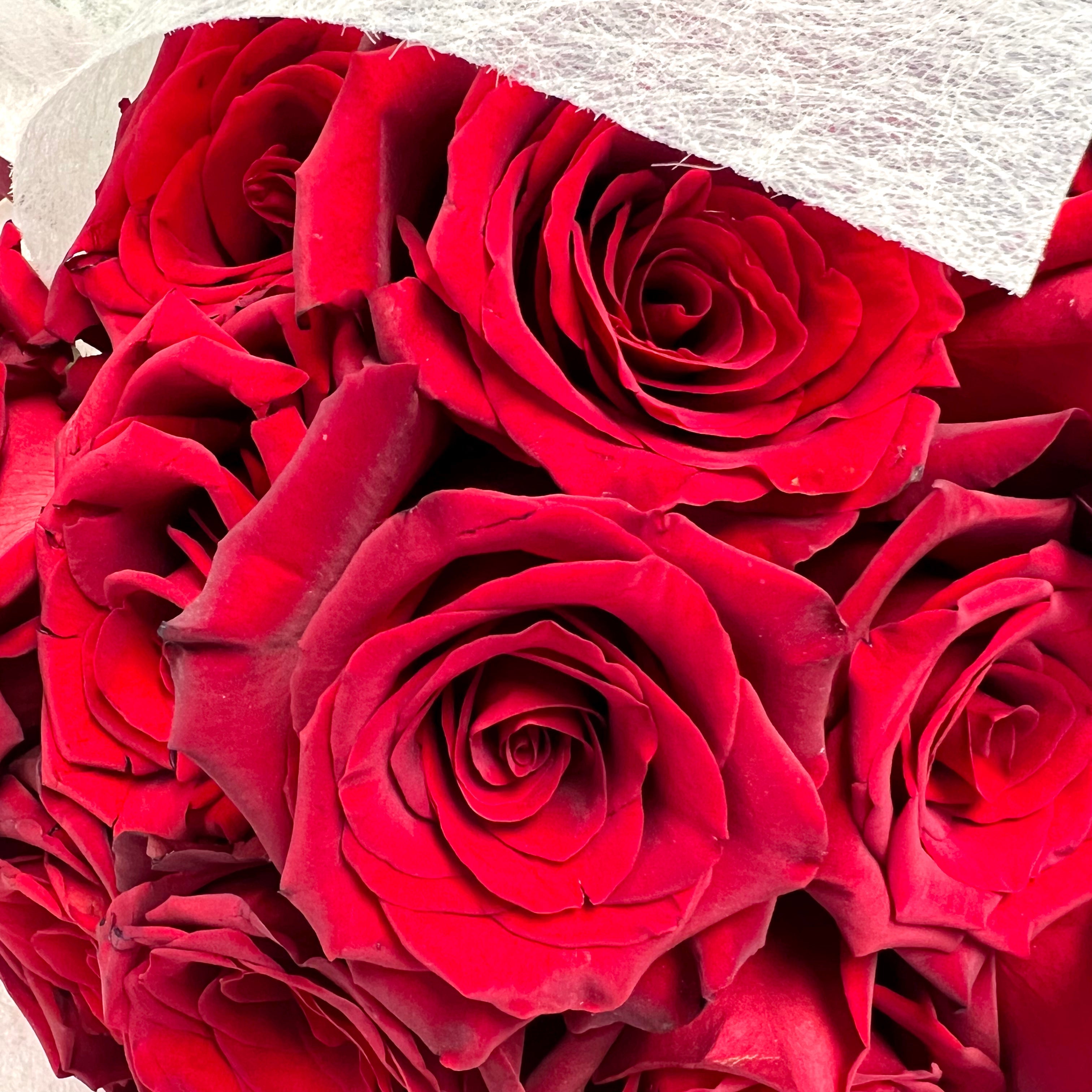 Ramo Gigante 100 Rosas Rojas