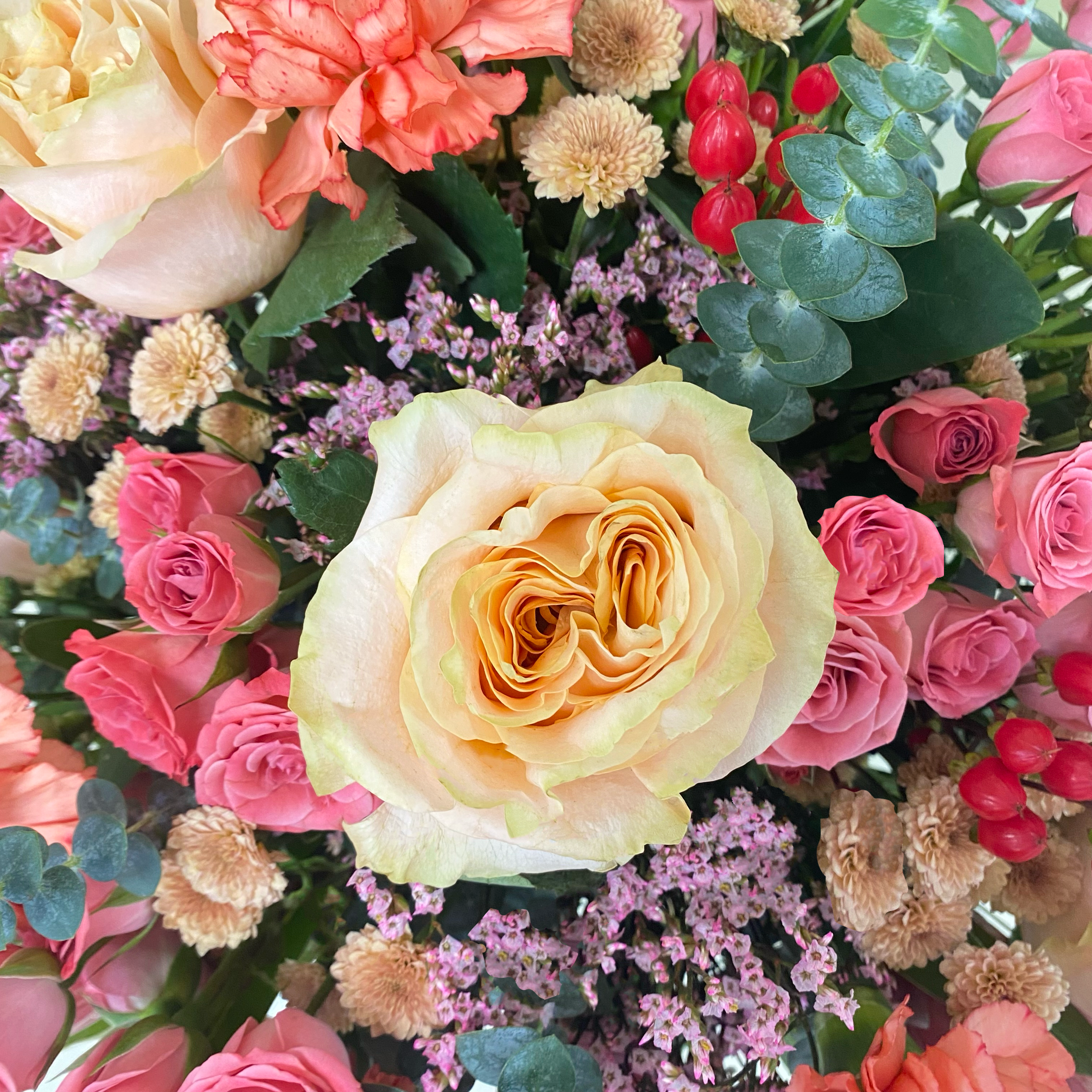 Florero Protea & Garden Roses L | 50 varas