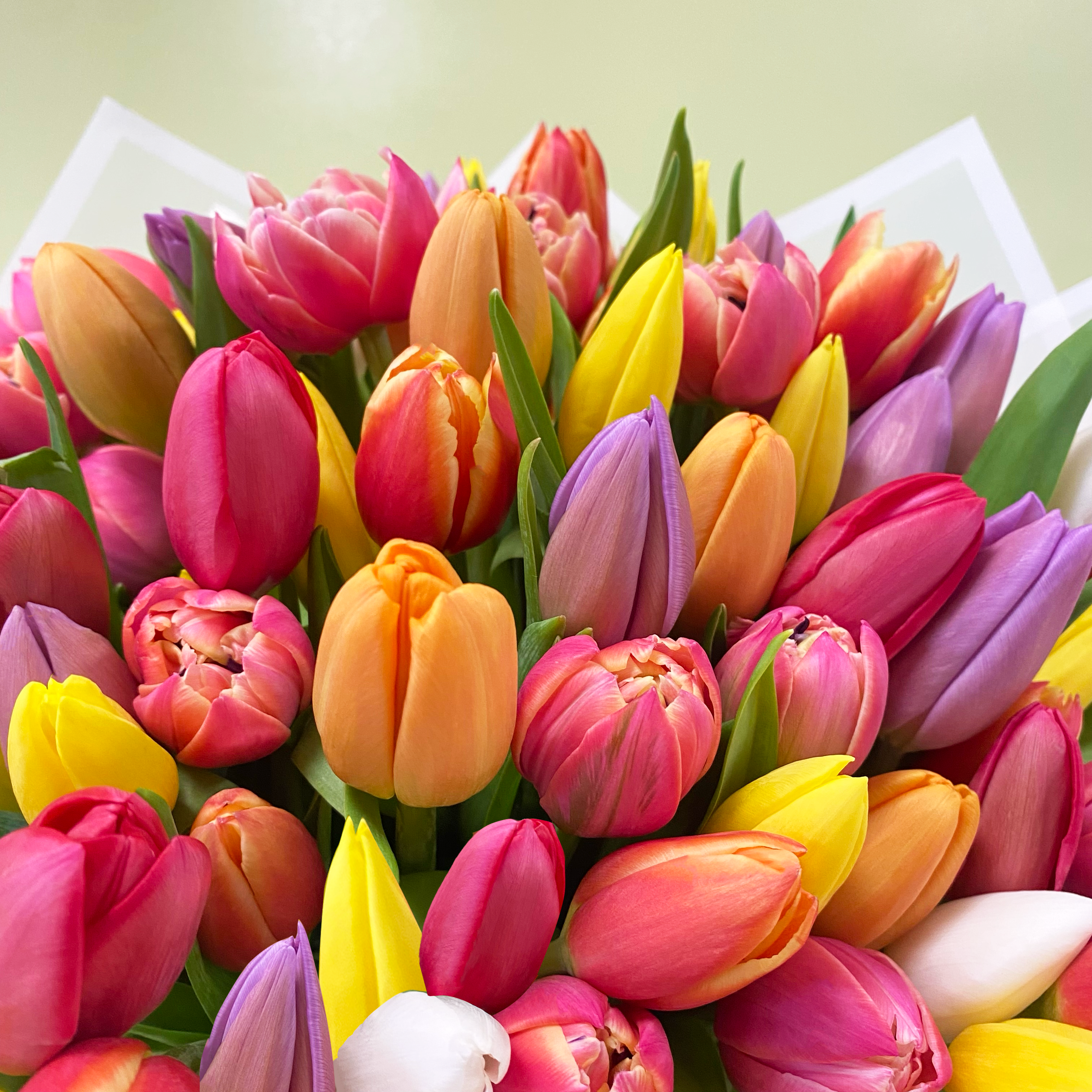 Maxi Ramo Tulipanes