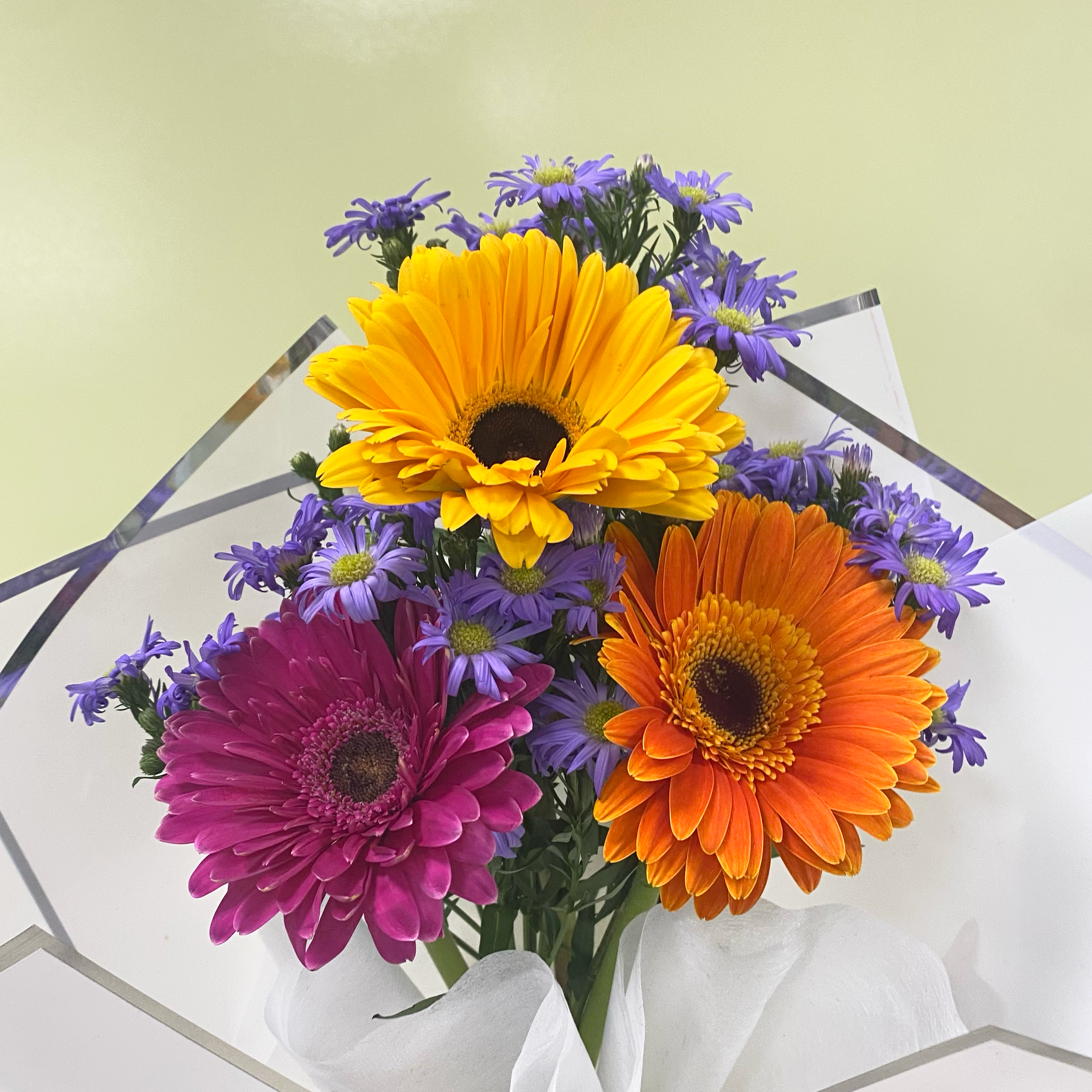 Mini Ramito Infantil Gerberas