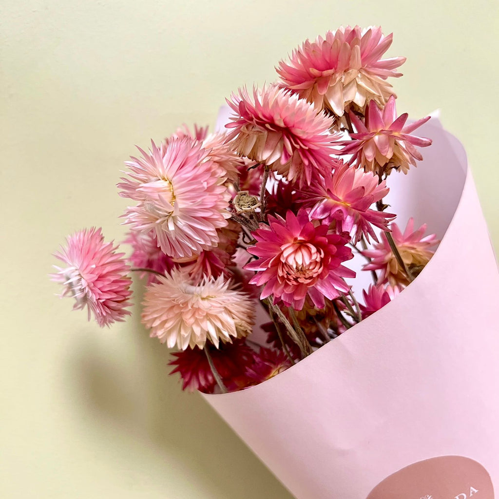 Helicriso Rosado