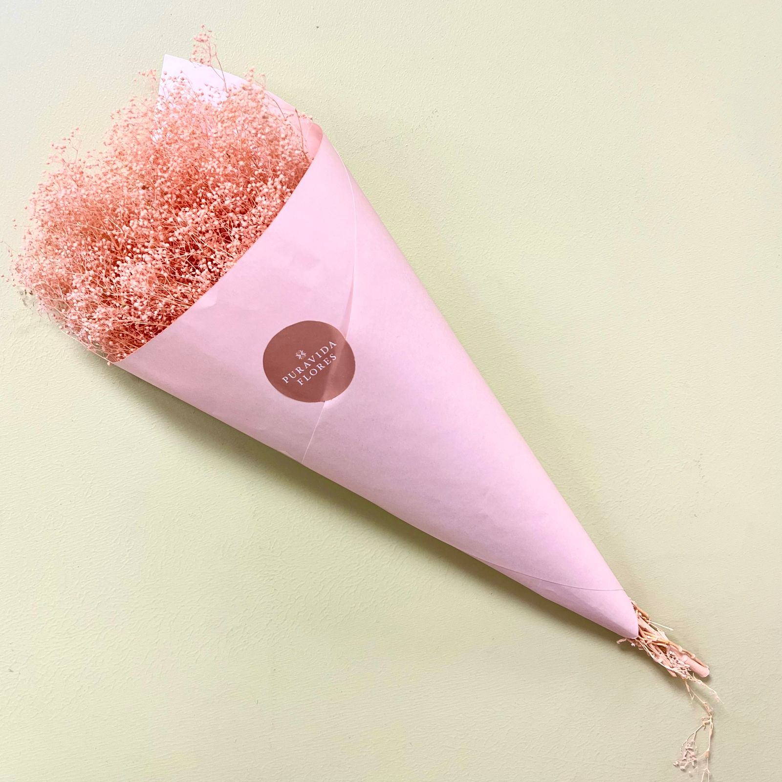 Gipsofilia Mini Rosada Pastel
