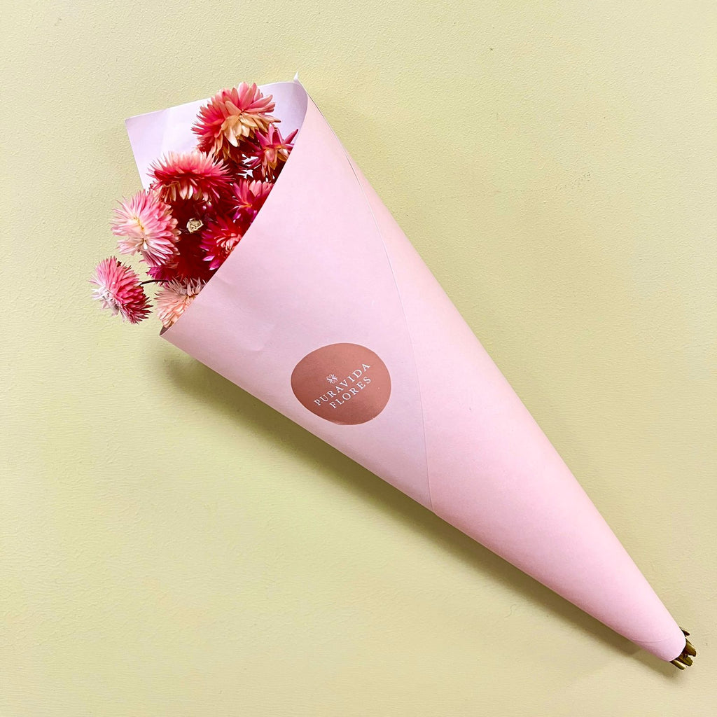 Helicriso Rosado