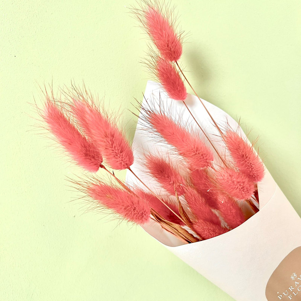 Bunny Tail Rosado