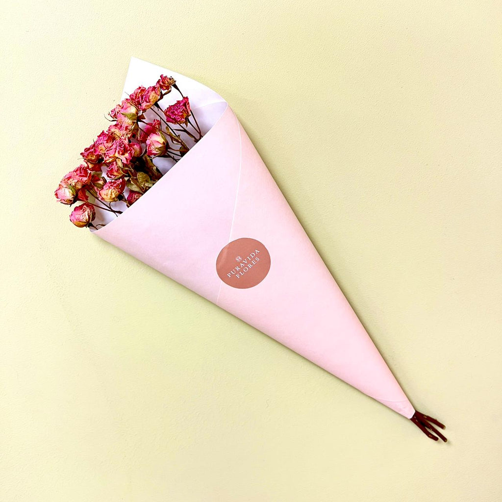 Mini Rosa Rosada