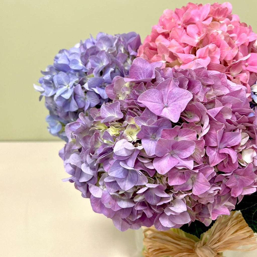 Florero de Hortensias