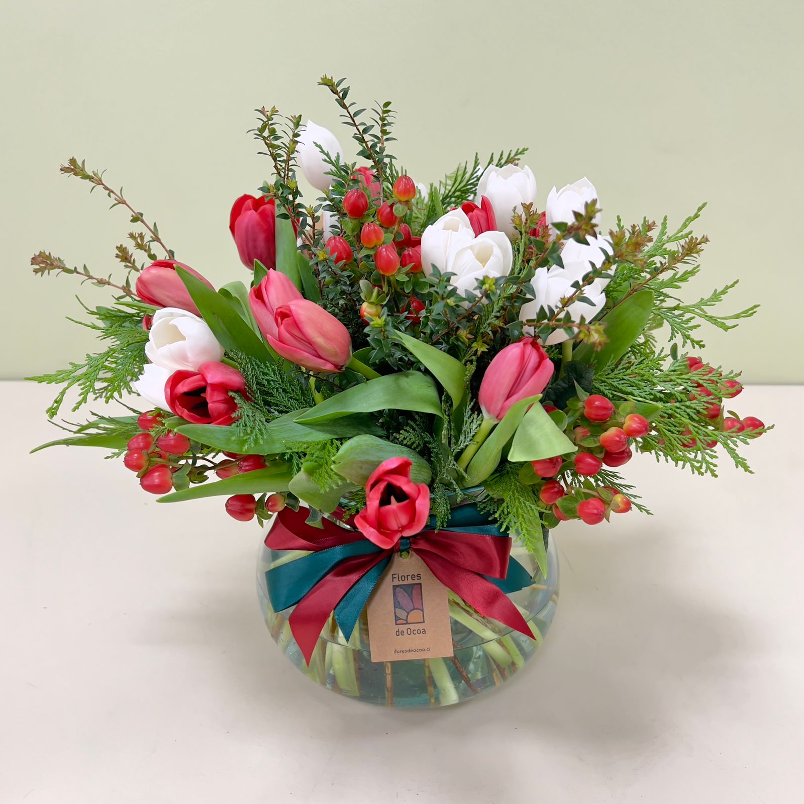 Florero Tulipanes Holanda Rojo & Blanco