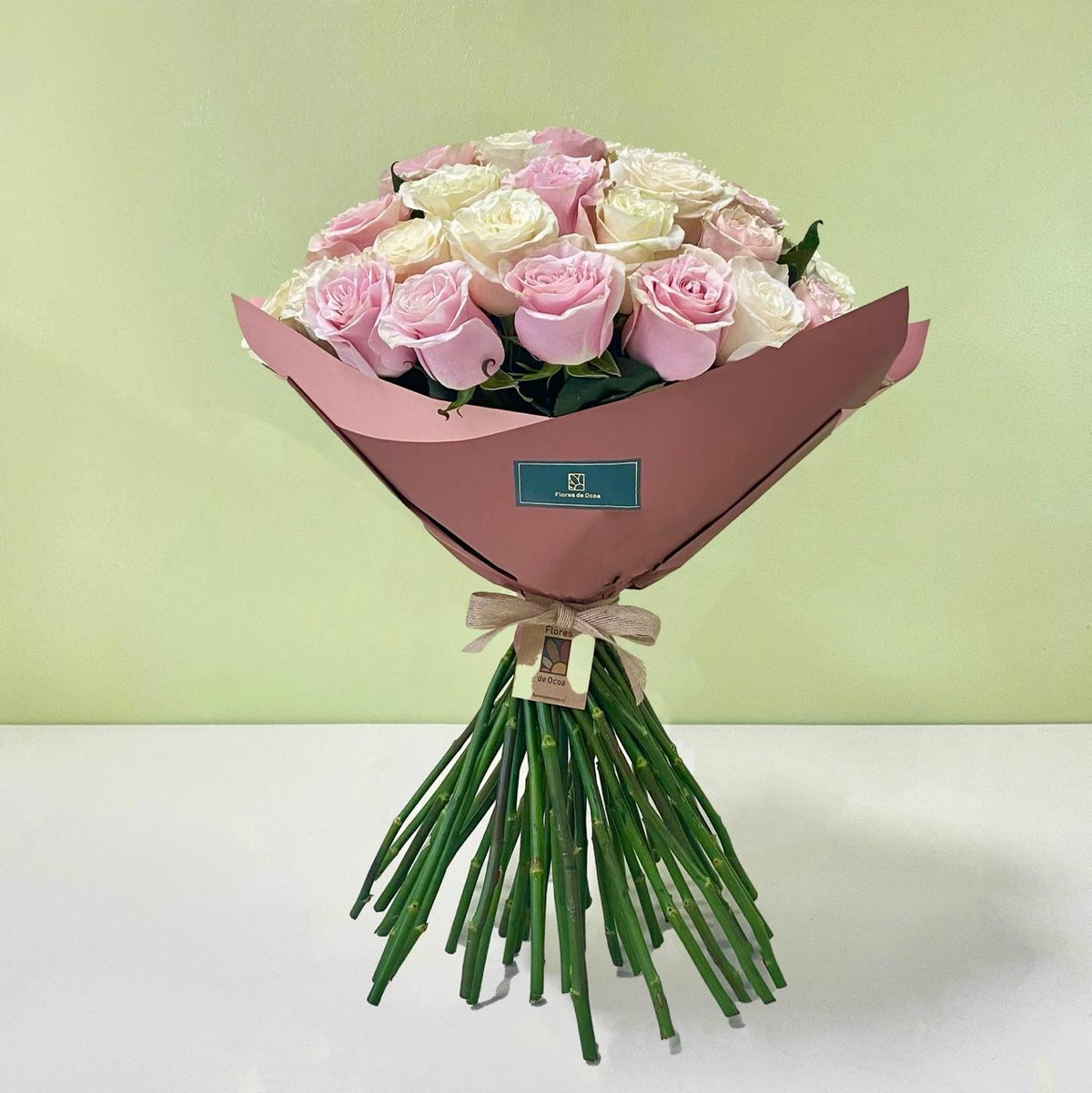 Rosas Blancas & Rosadas