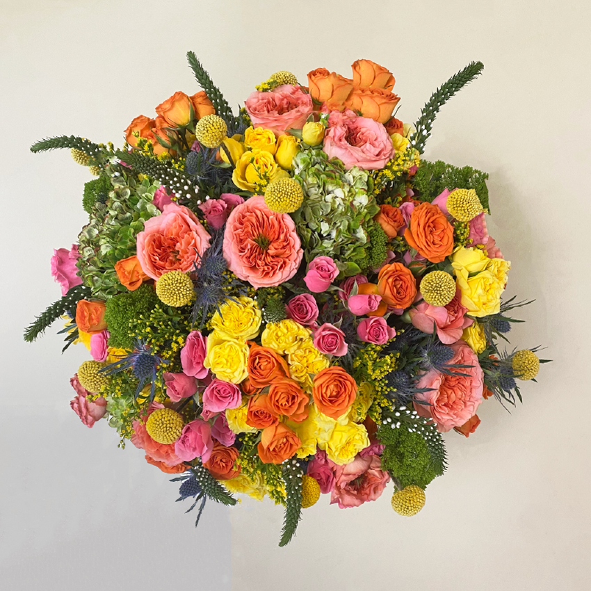 Maxi Campestre | F26 Enamorados