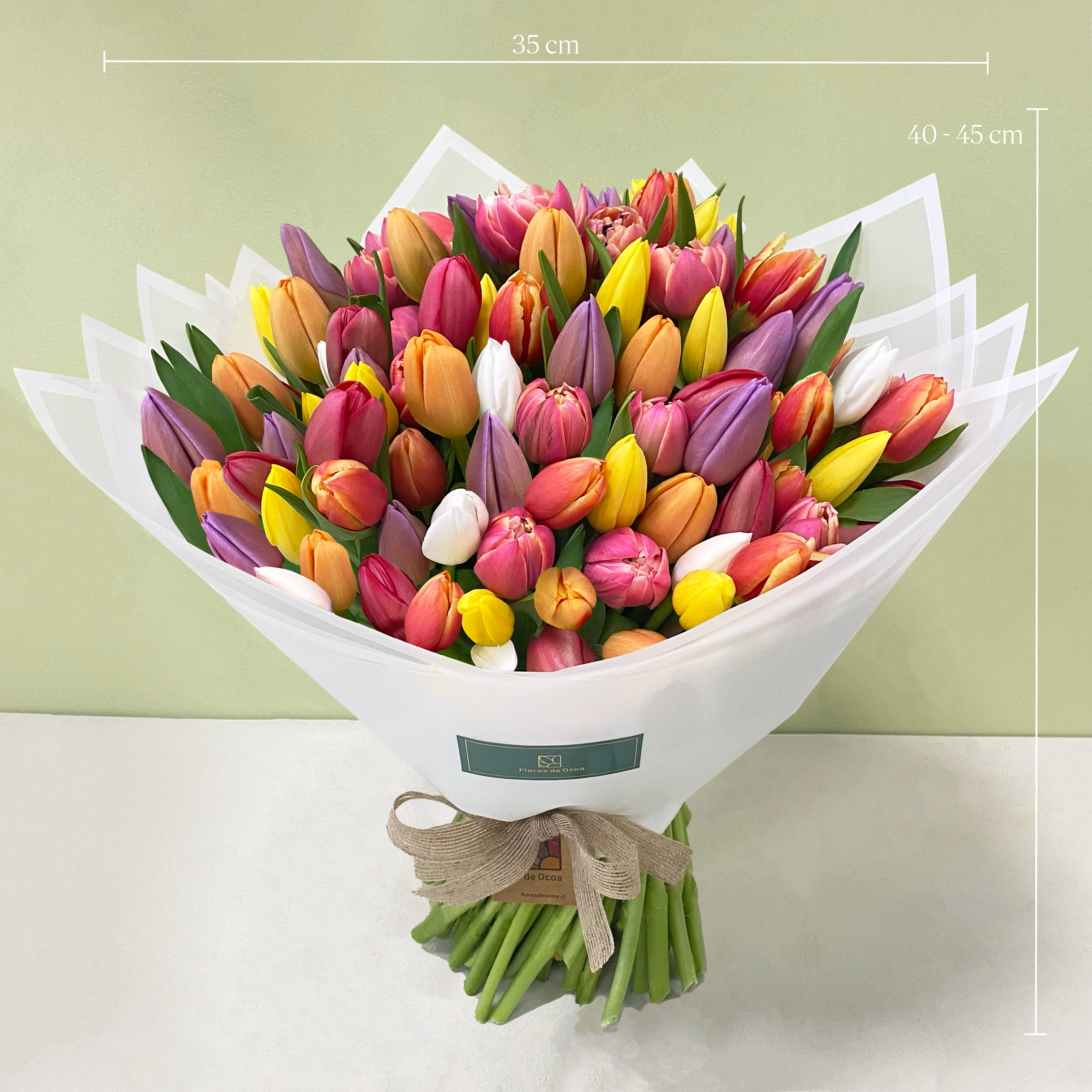 Maxi Ramo Tulipanes