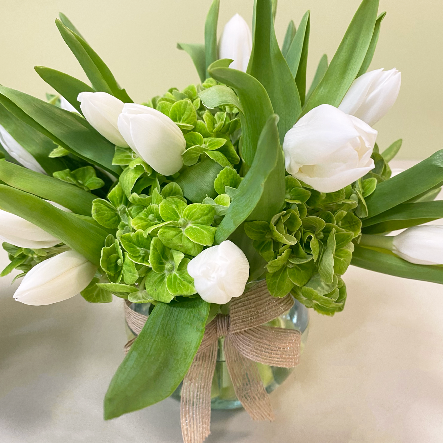 Pecera Tulipanes blancos