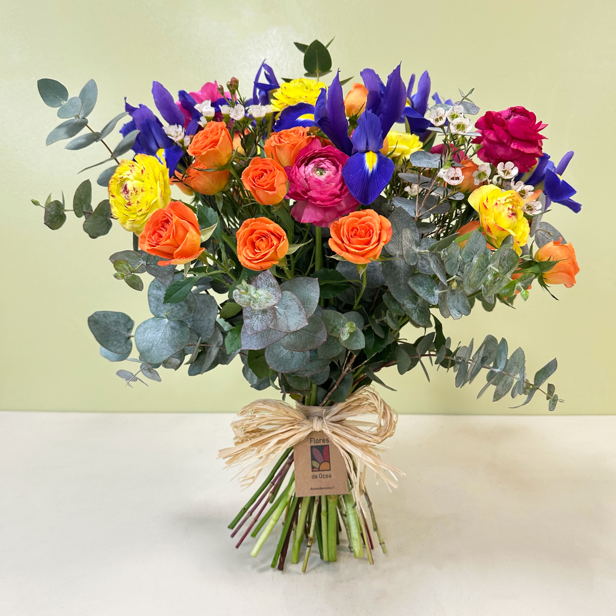Mix Color Iris | Invierno