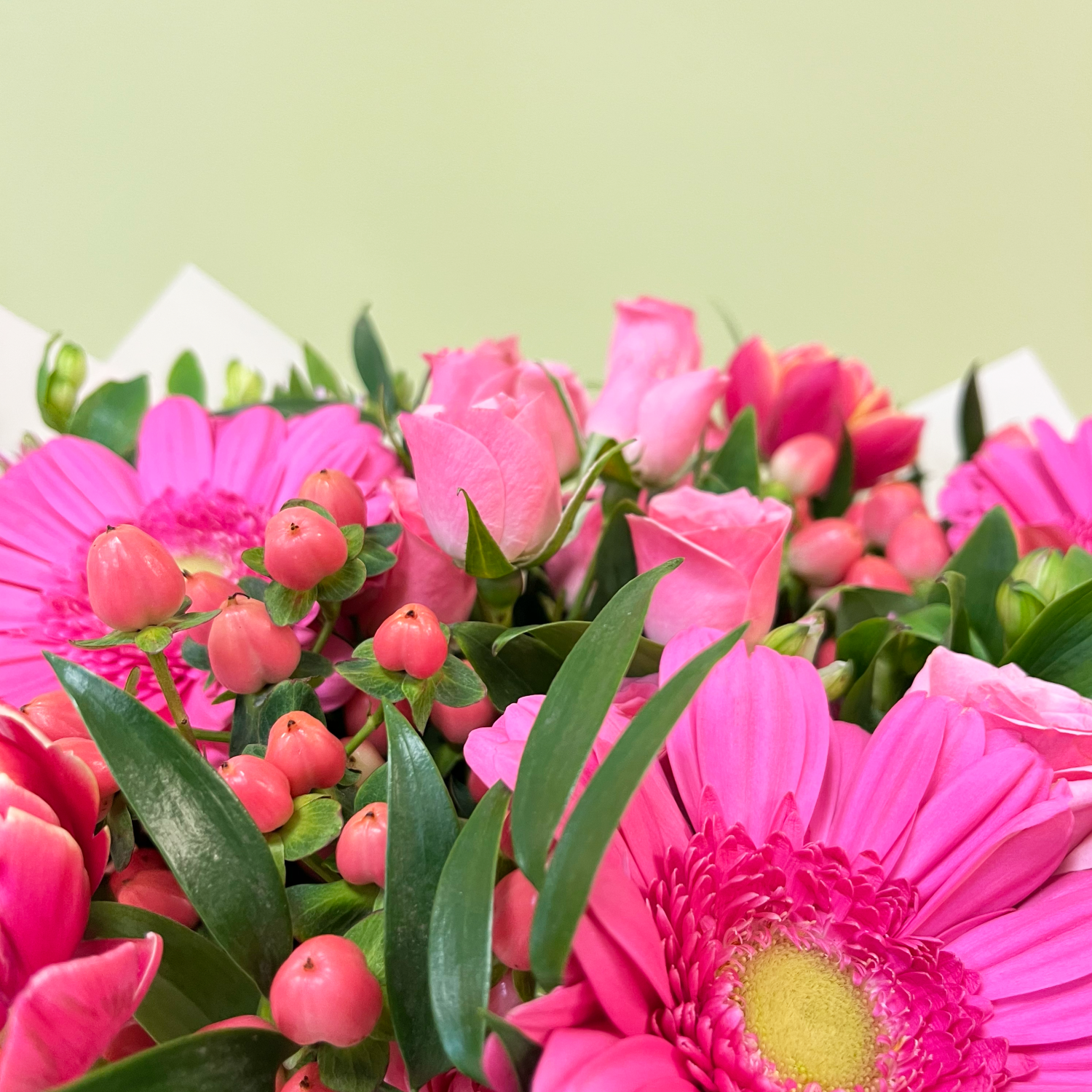 Tulipan & Gerberas Rosados