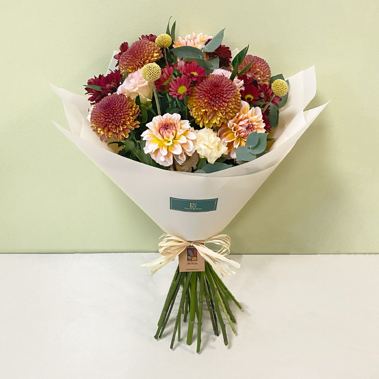 Dalias & Disbud | Otoño