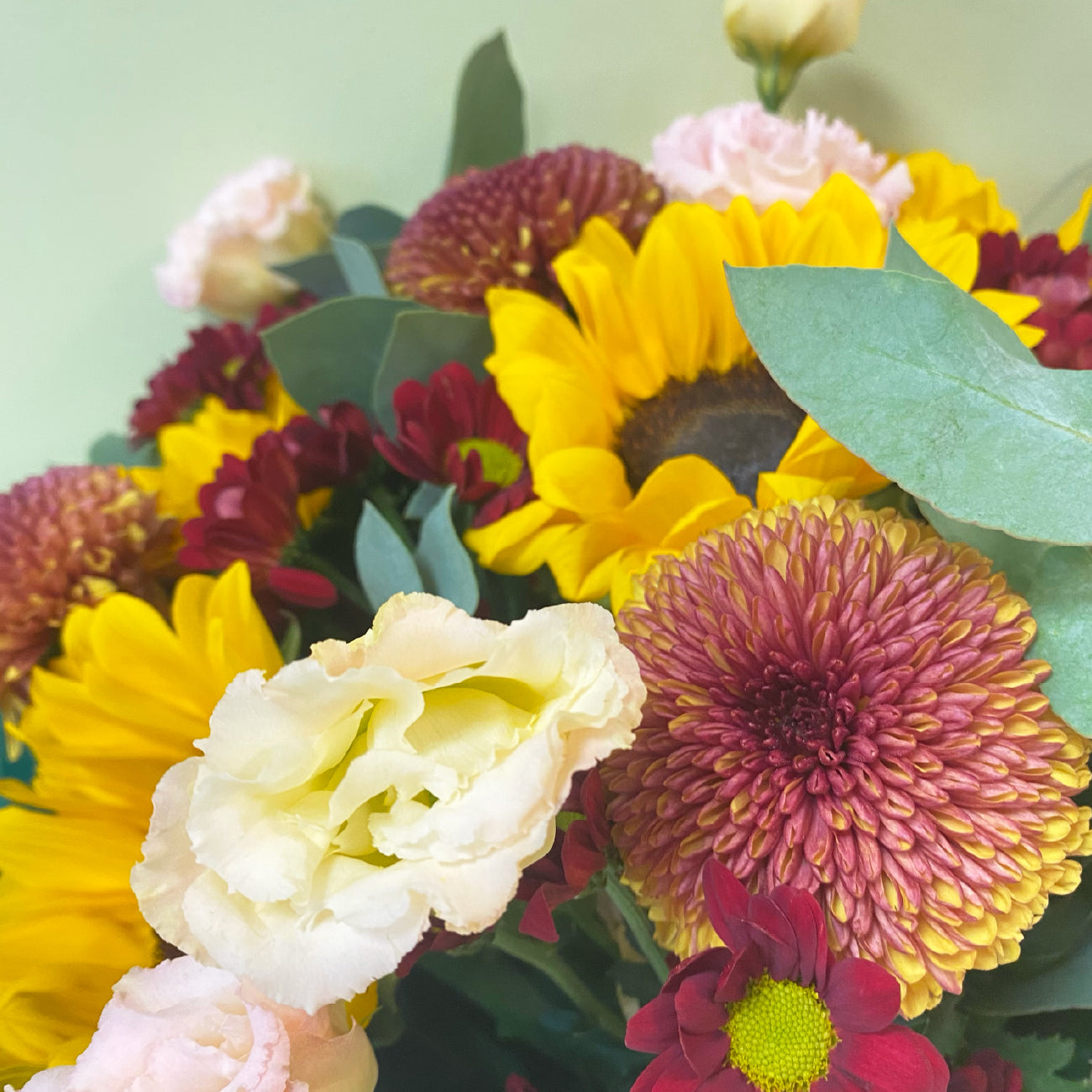 Girasoles & Disbud | Otoño