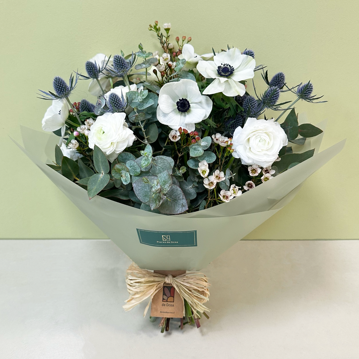 Anémonas & Eryngium | Invierno