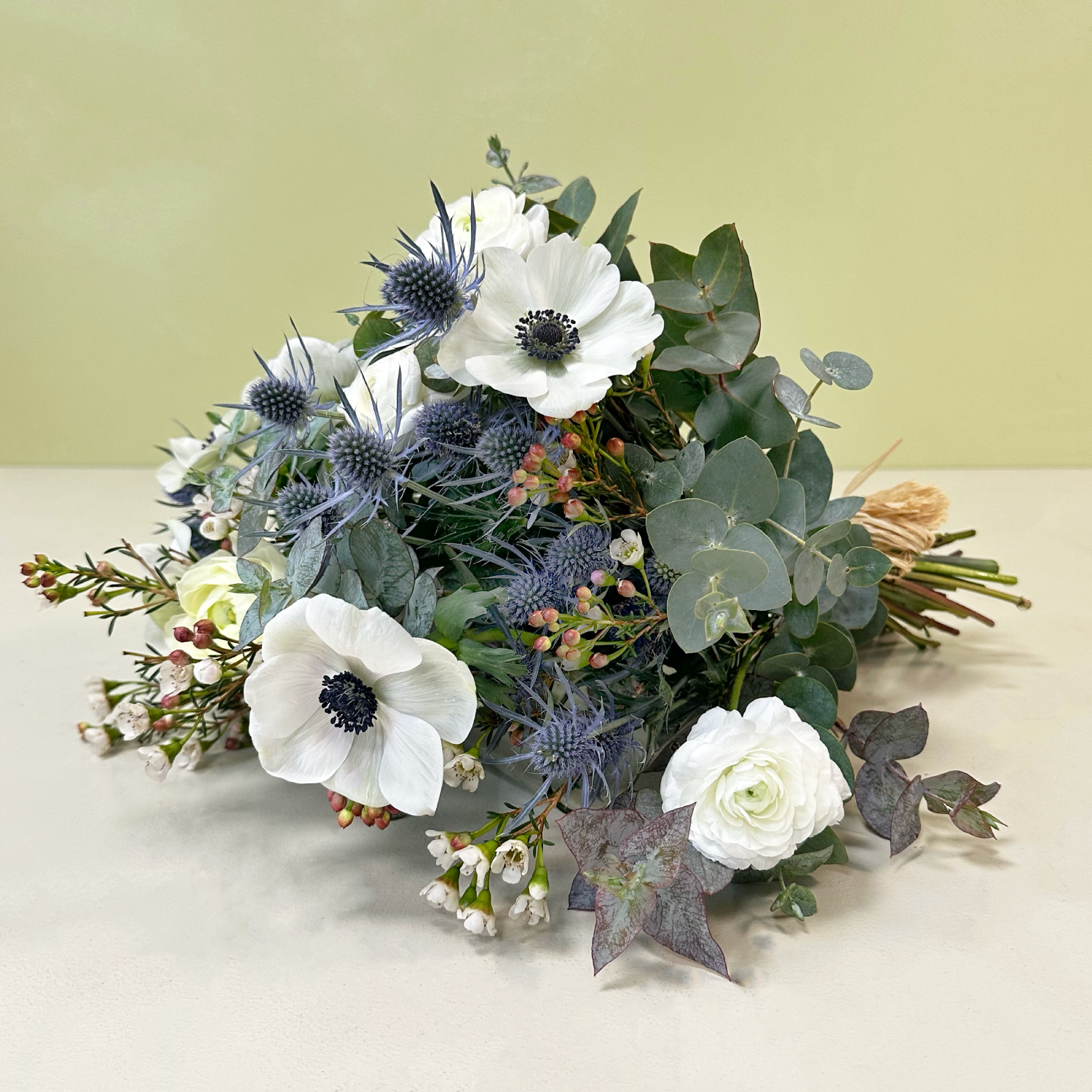 Anémonas & Eryngium