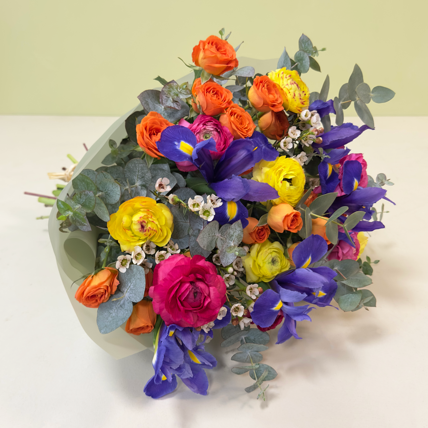 Mix Color Iris