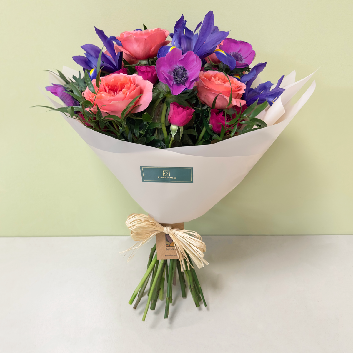 Iris & Garden | Invierno