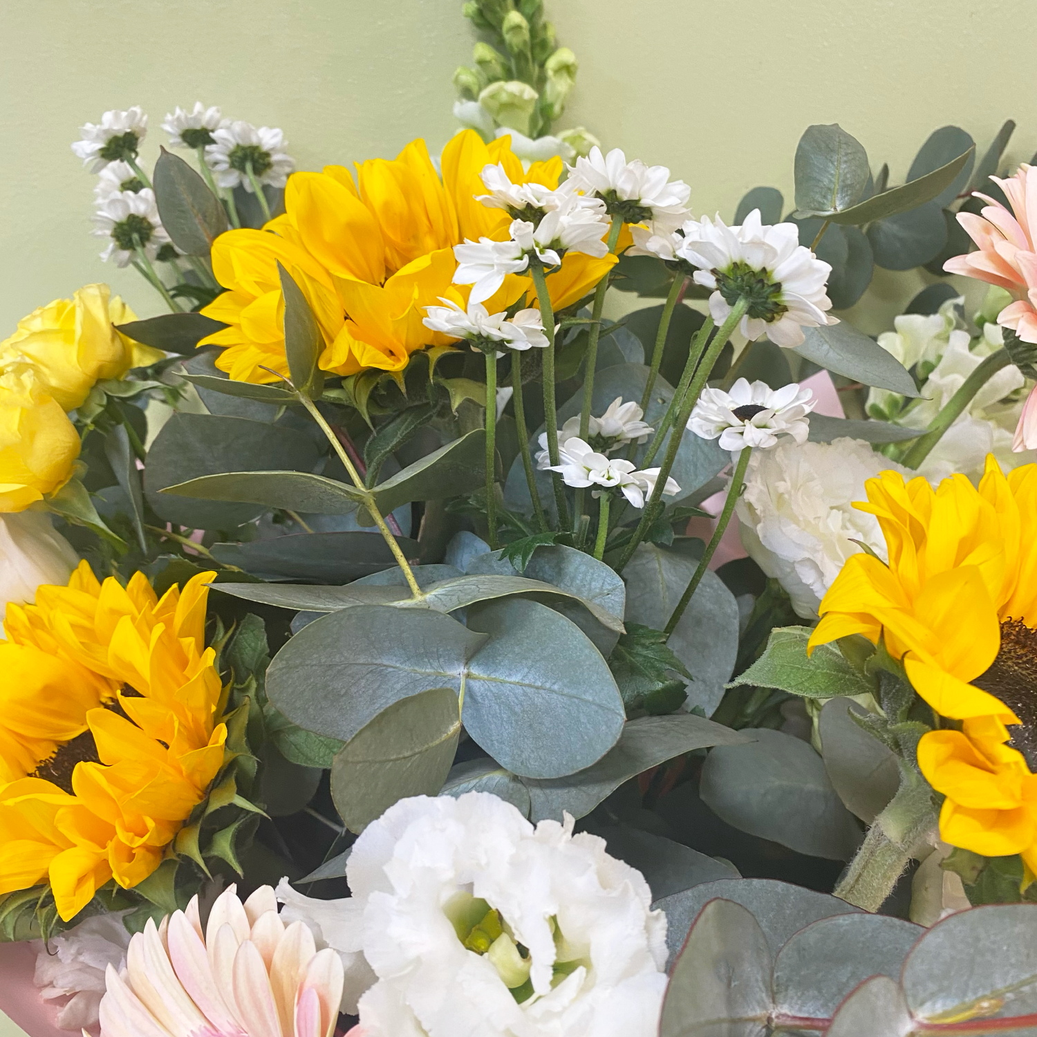 Girasoles & Gerberas Campestre | M18